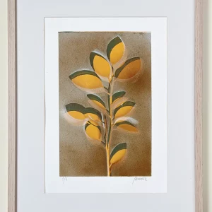 Monotipo tonos cálidos ref.030/25